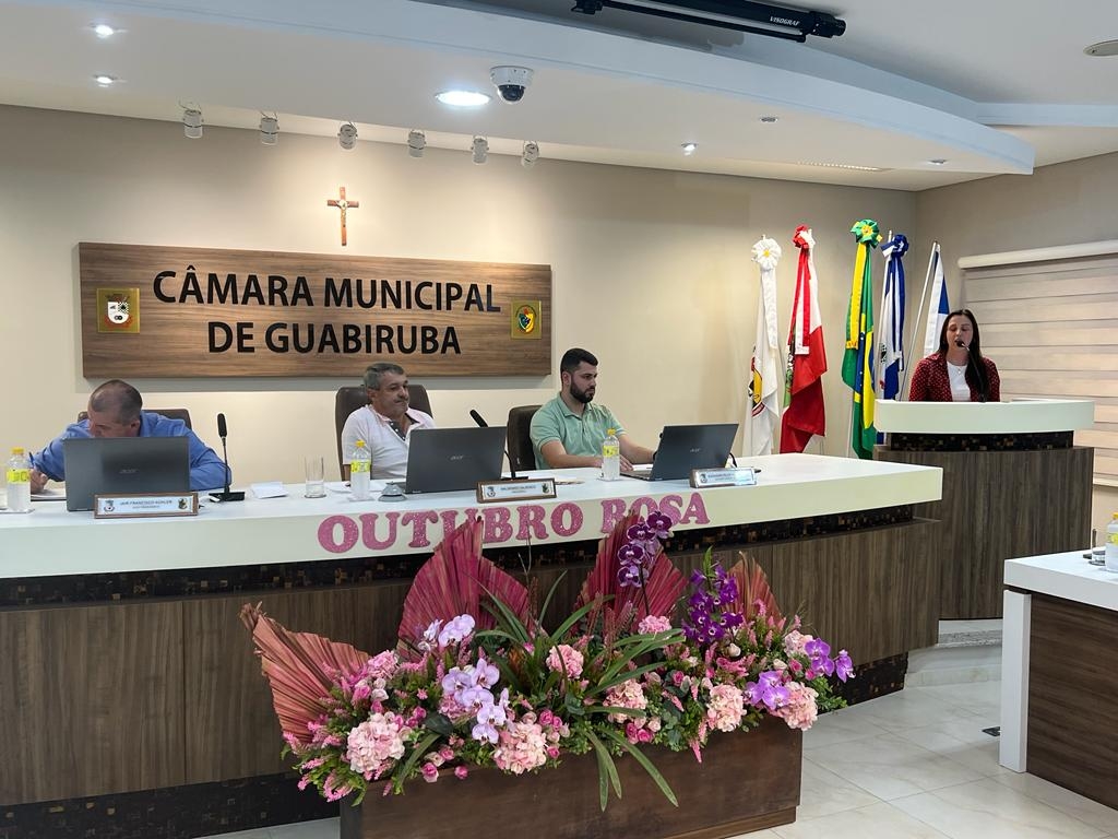 Iluminação natalina da Câmara Municipal será inaugurada nesta quarta-feira  (30) - Portal Pebinha de Açúcar - 16 anos